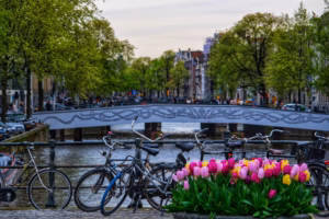 Things to Do in Amsterdam Netherlands