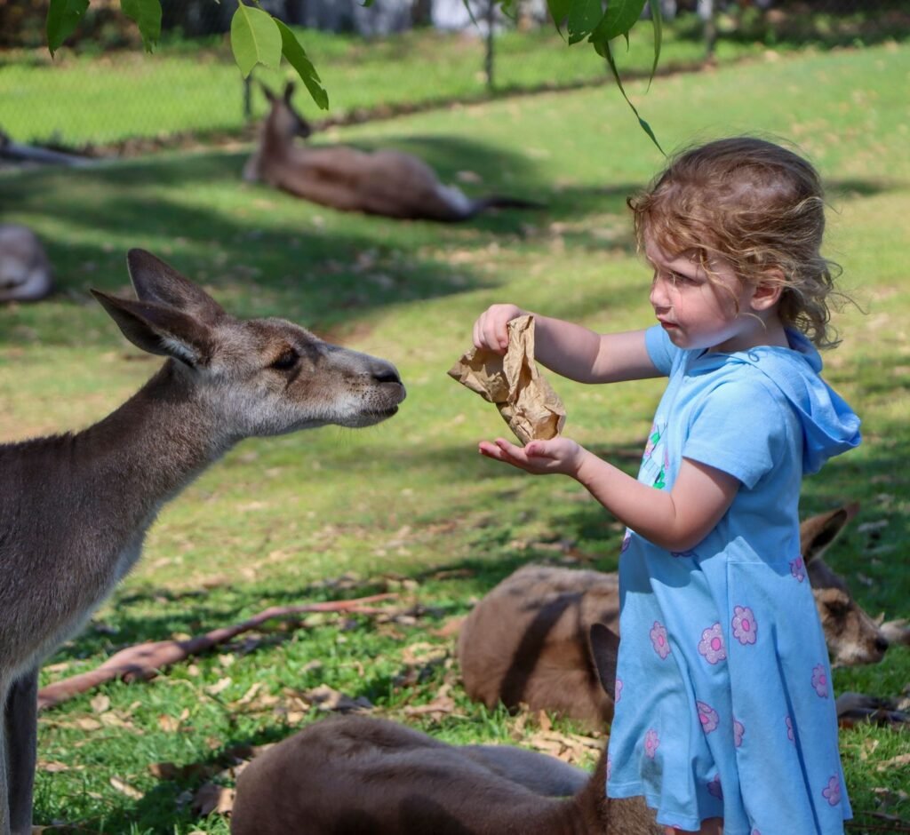 Family Travel Itinerary for Australia