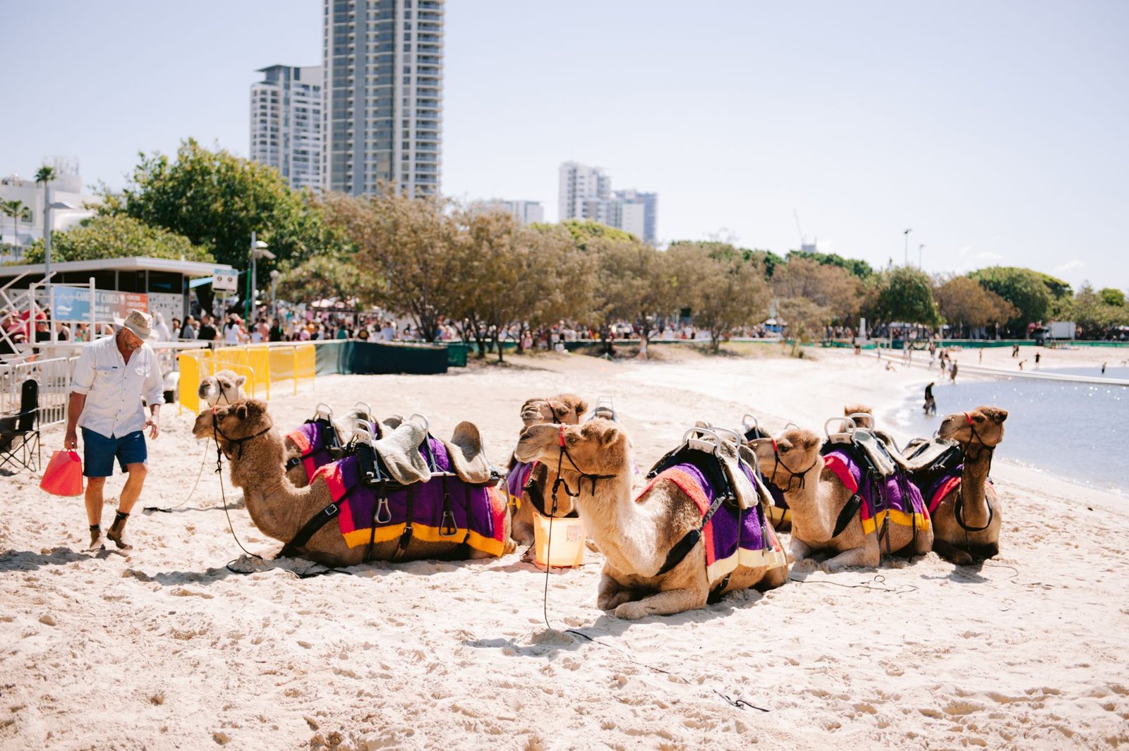 Gold Coast Travel Guide for Tourists