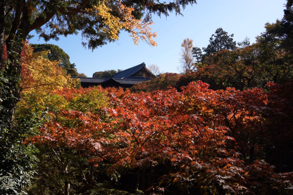 Kyoto Travel Guide: Best Temples and Attractions