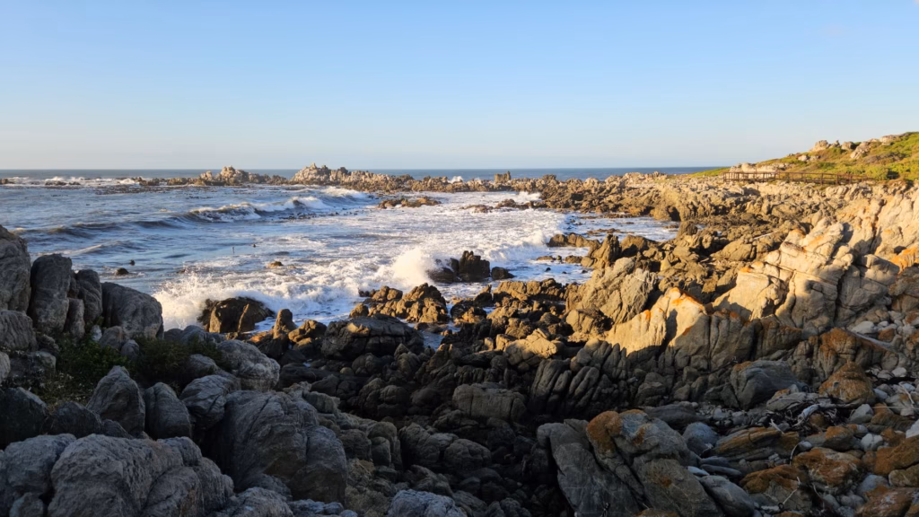 South Africa Travel Tips for Beginners