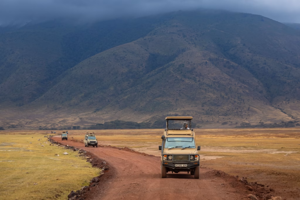 Top Wildlife Experiences in Africa