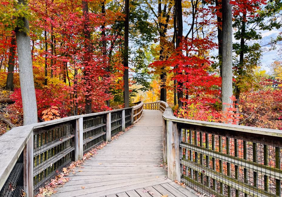 A beautiful wooden bridge amidst vibrant fall foliage in Mississauga, Ontario.