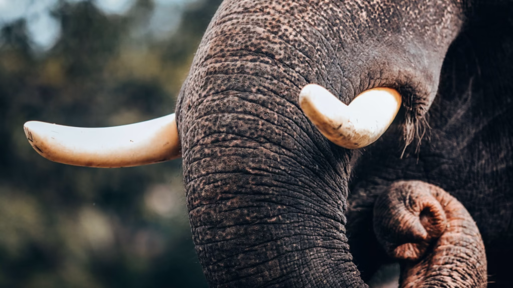 Affordable African Destinations Right Now