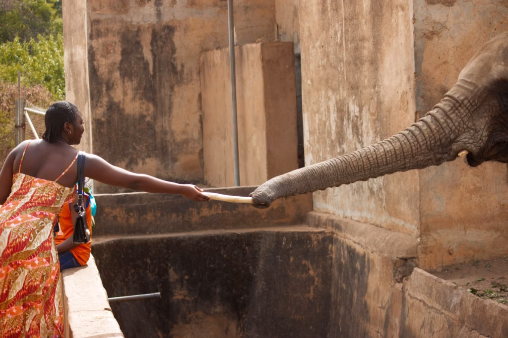 Best African Destinations to Visit in December
