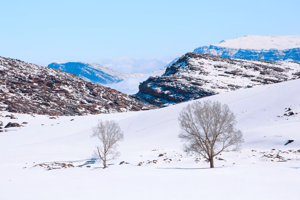 Best Winter Destinations in Africa