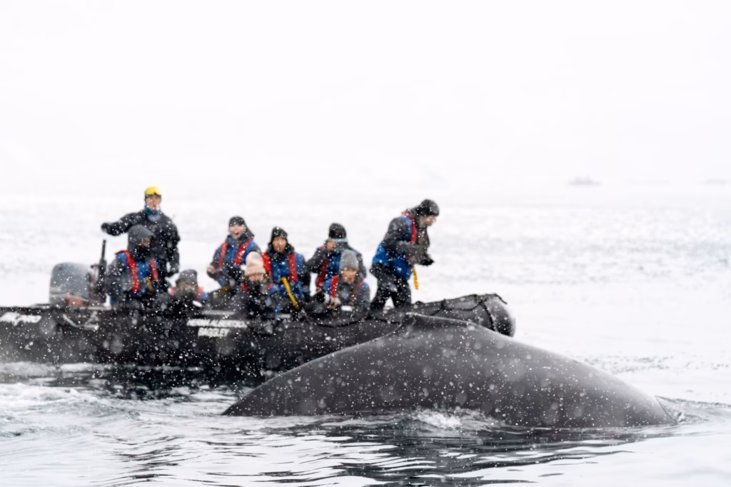 Photography Tours in Antarctica