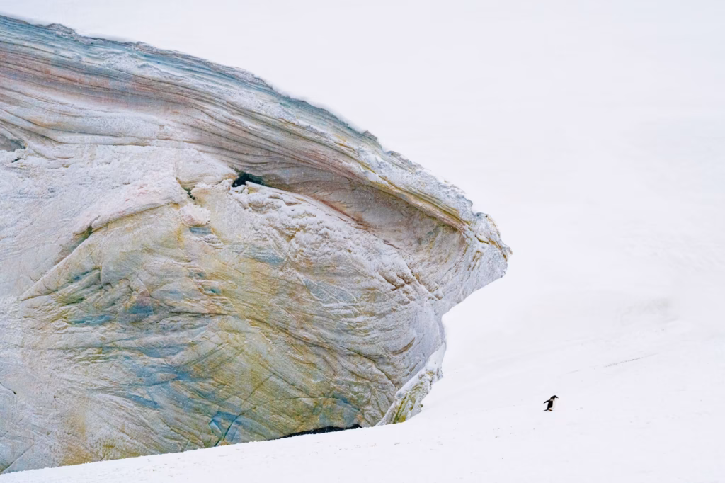 Solo Travel to Antarctica Guide