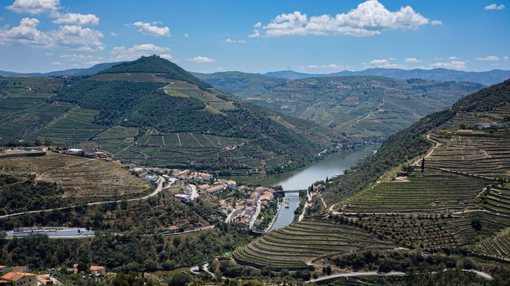 Wine Regions in Europe to Visit