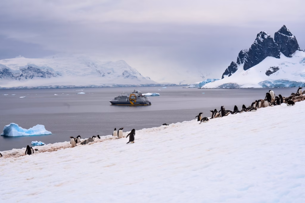 Antarctica Travel Rules and Guidelines