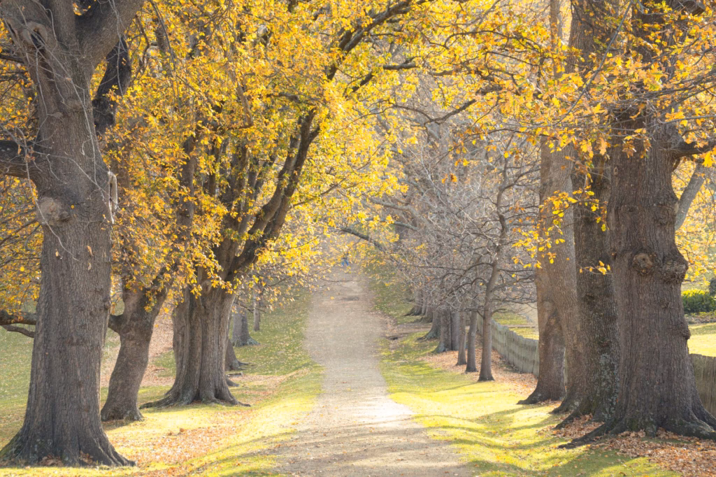 Best Fall Destinations in Australia