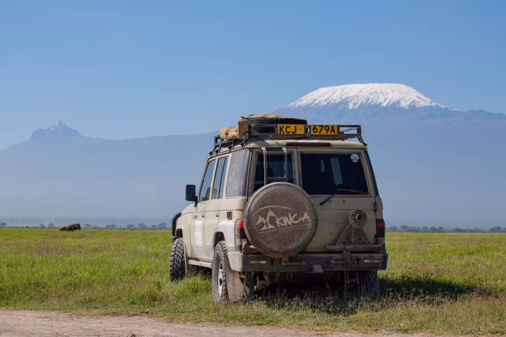 Best Travel Insurance for Africa Trips