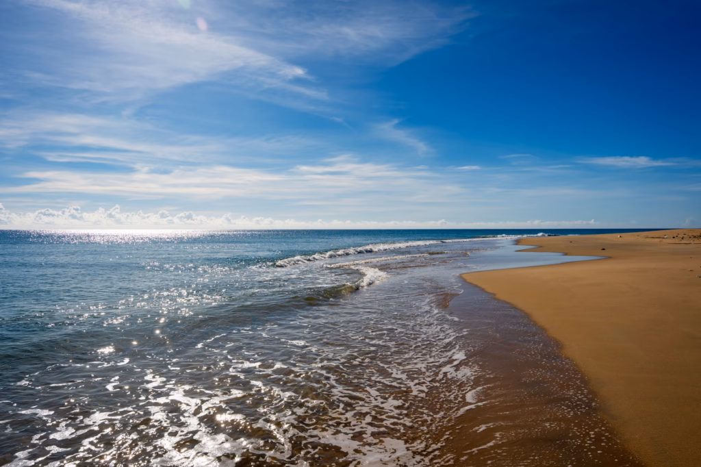 Best Time to Visit Southern Africa