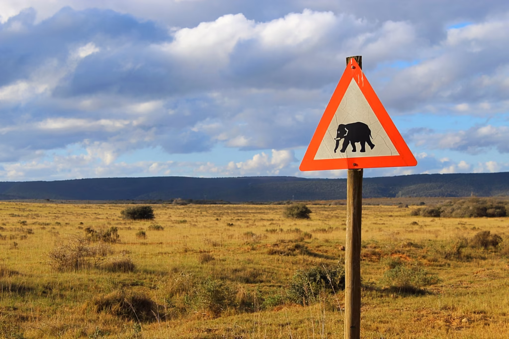 Safety Tips for Traveling in Africa