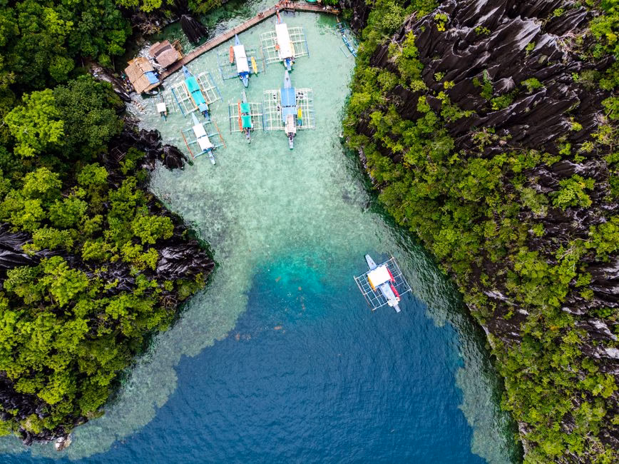 Captivating aerial shot of boats in a vibrant lagoon surrounded by lush greenery and rocky cliffs in the Philippines.